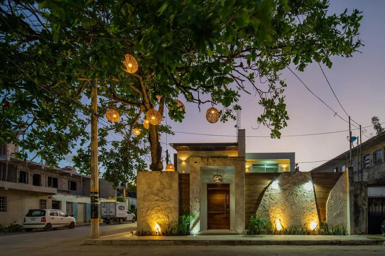 图卢姆Casa Del Arbol公寓