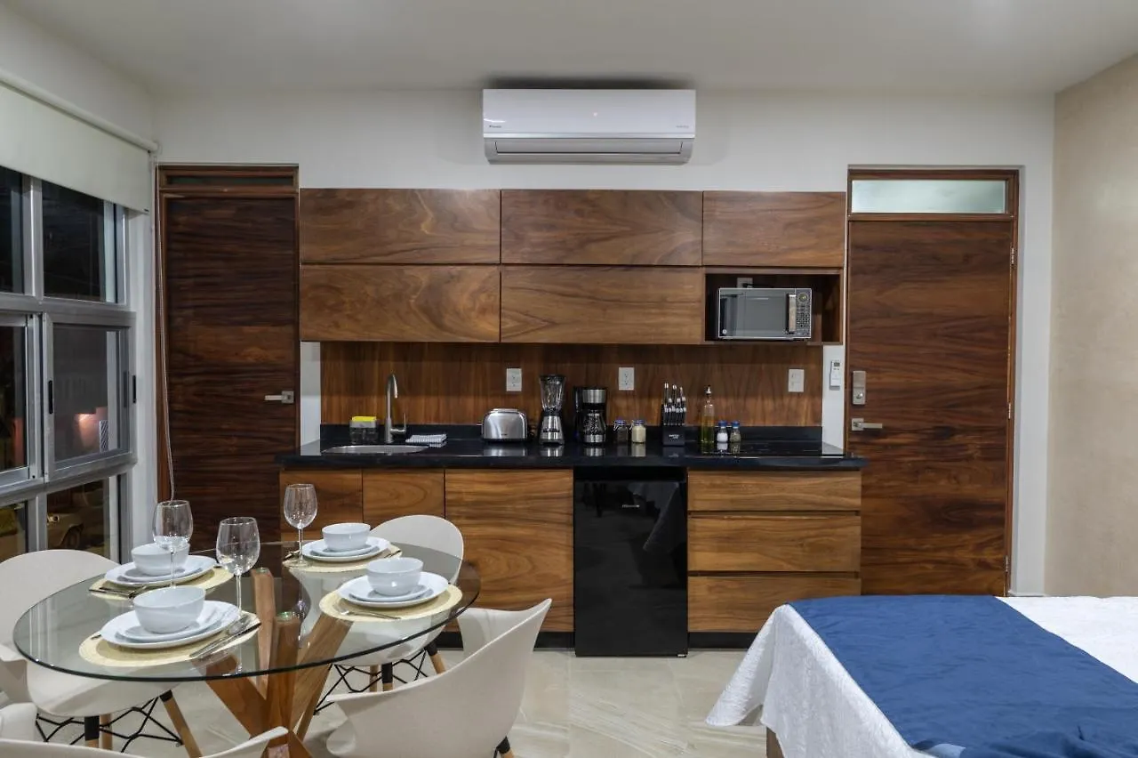 Casa Del Arbol Apartment Tulum Mexico